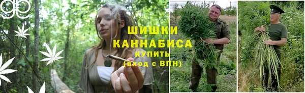 трава Абинск